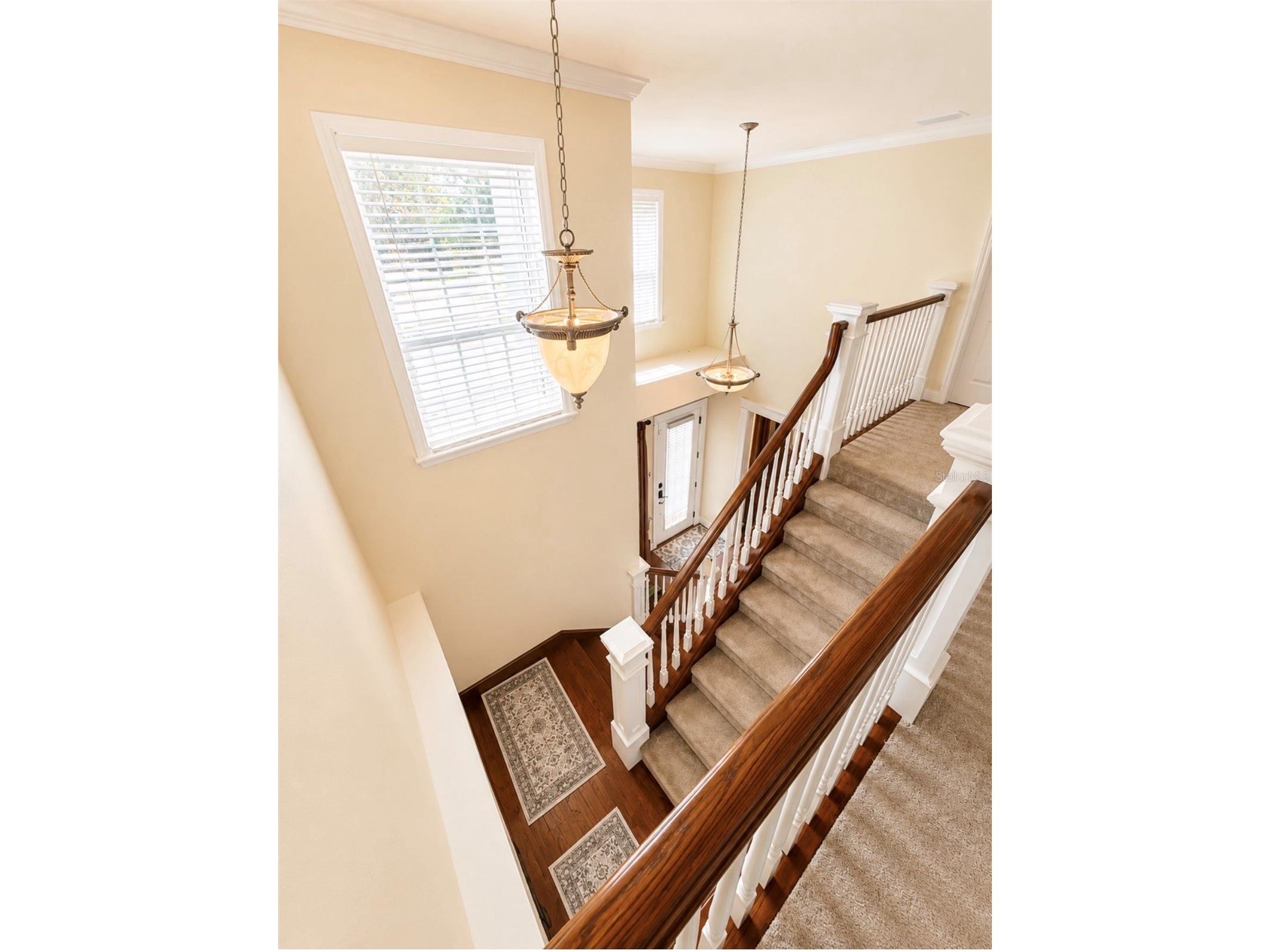 10384 SE 41st Terrace Belleview FL 34420 OM726183 image52