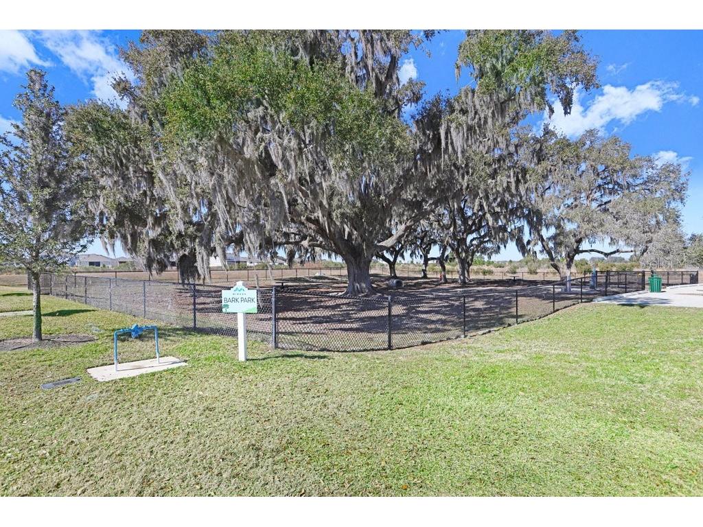 10385 Echo Dock Loop San Antonio FL 33576 TB8479159 image29