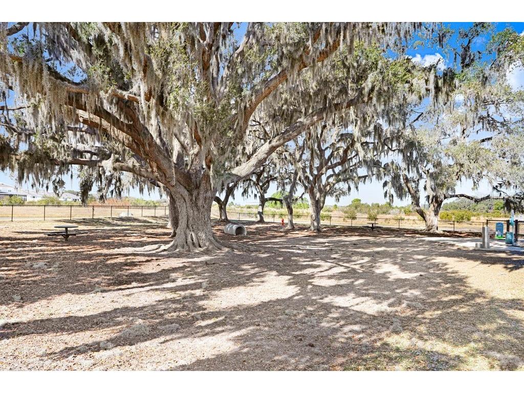 10385 Echo Dock Loop San Antonio FL 33576 TB8479159 image30
