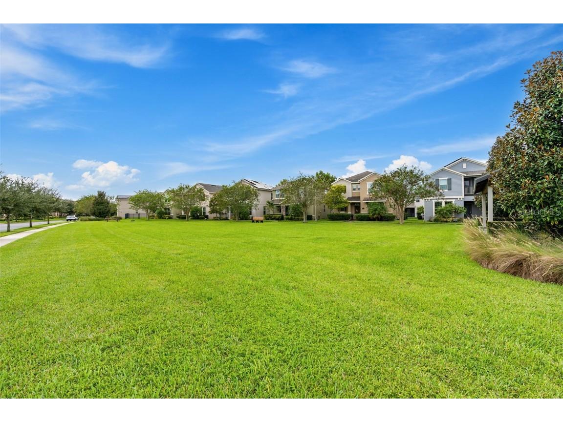 10386 Atwater Bay Drive Winter Garden FL 34787 O6350030 image29