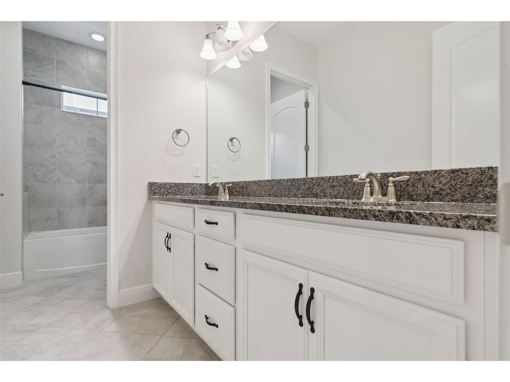 10387 Macduff Drive Orlando FL 32832 O6403312 image33