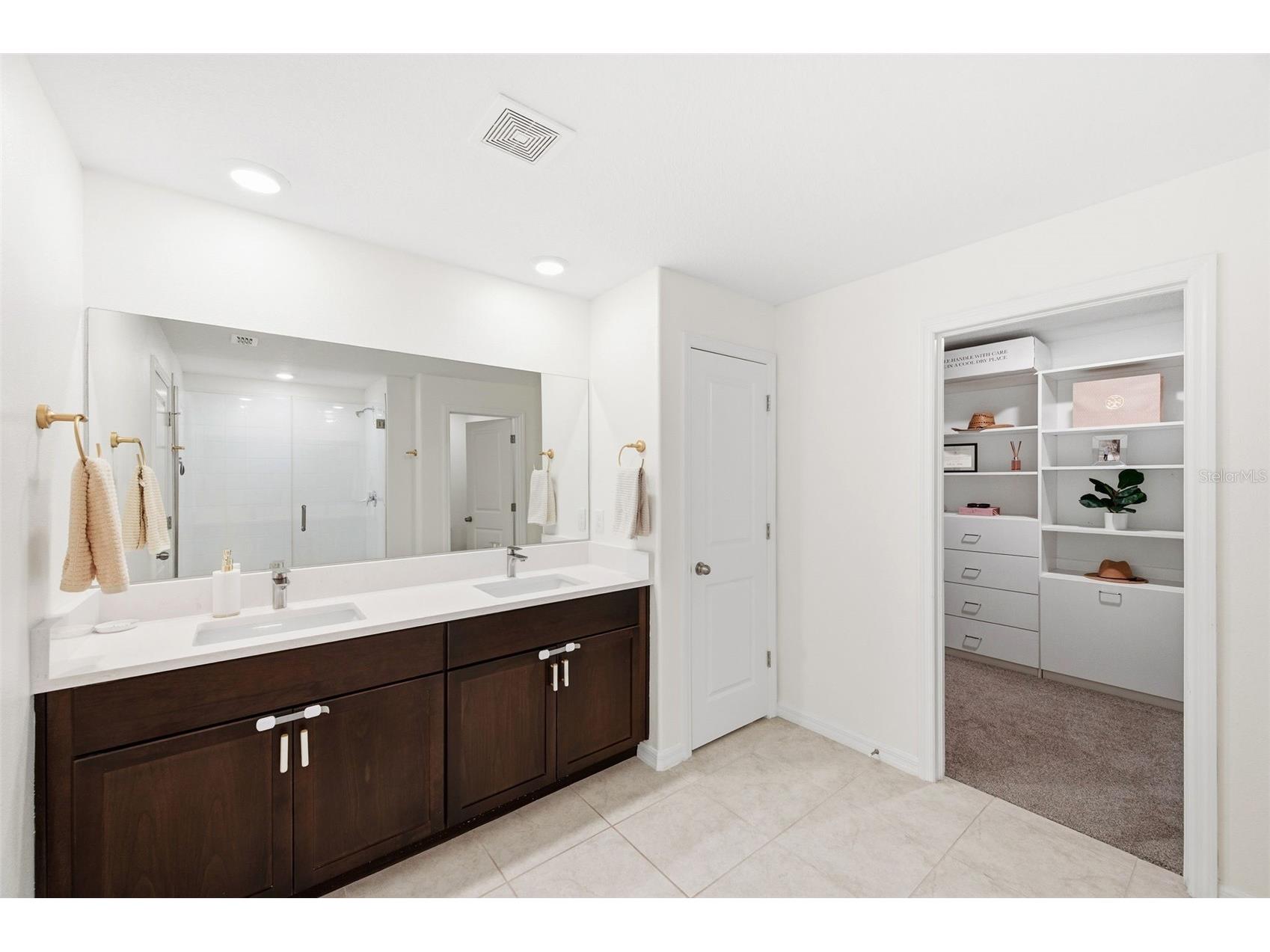 10387 Scarlet Skimmer Drive Riverview FL 33578 TB8483527 image41