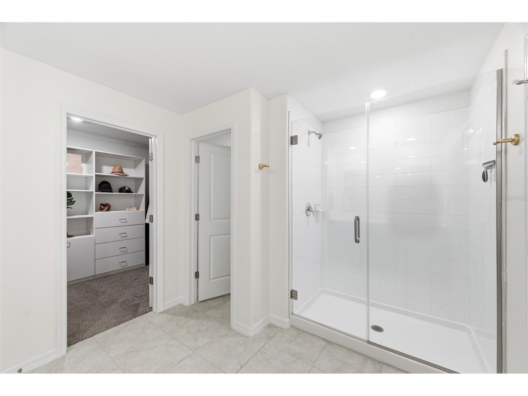10387 Scarlet Skimmer Drive Riverview FL 33578 TB8483527 image42