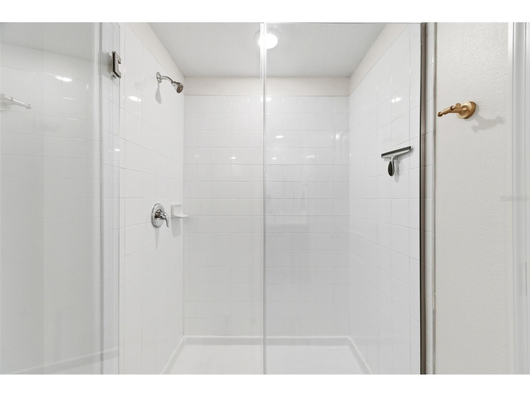 10387 Scarlet Skimmer Drive Riverview FL 33578 TB8483527 image43
