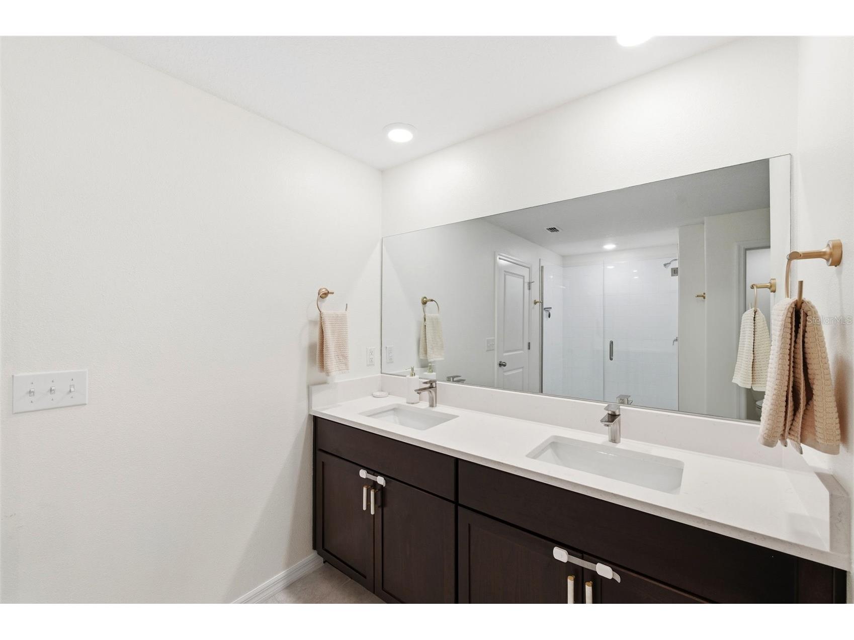 10387 Scarlet Skimmer Drive Riverview FL 33578 TB8483527 image44