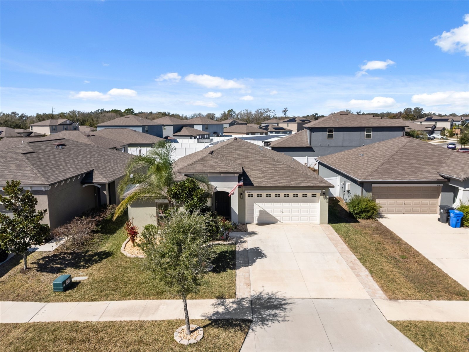 10387 Scarlet Skimmer Drive Riverview FL 33578 TB8483527 image60