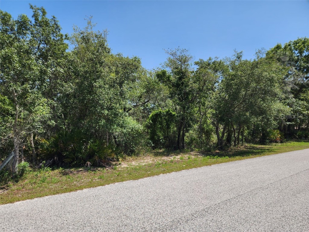 10389 Marvista Court Weeki Wachee FL 34614 W7875581 image1