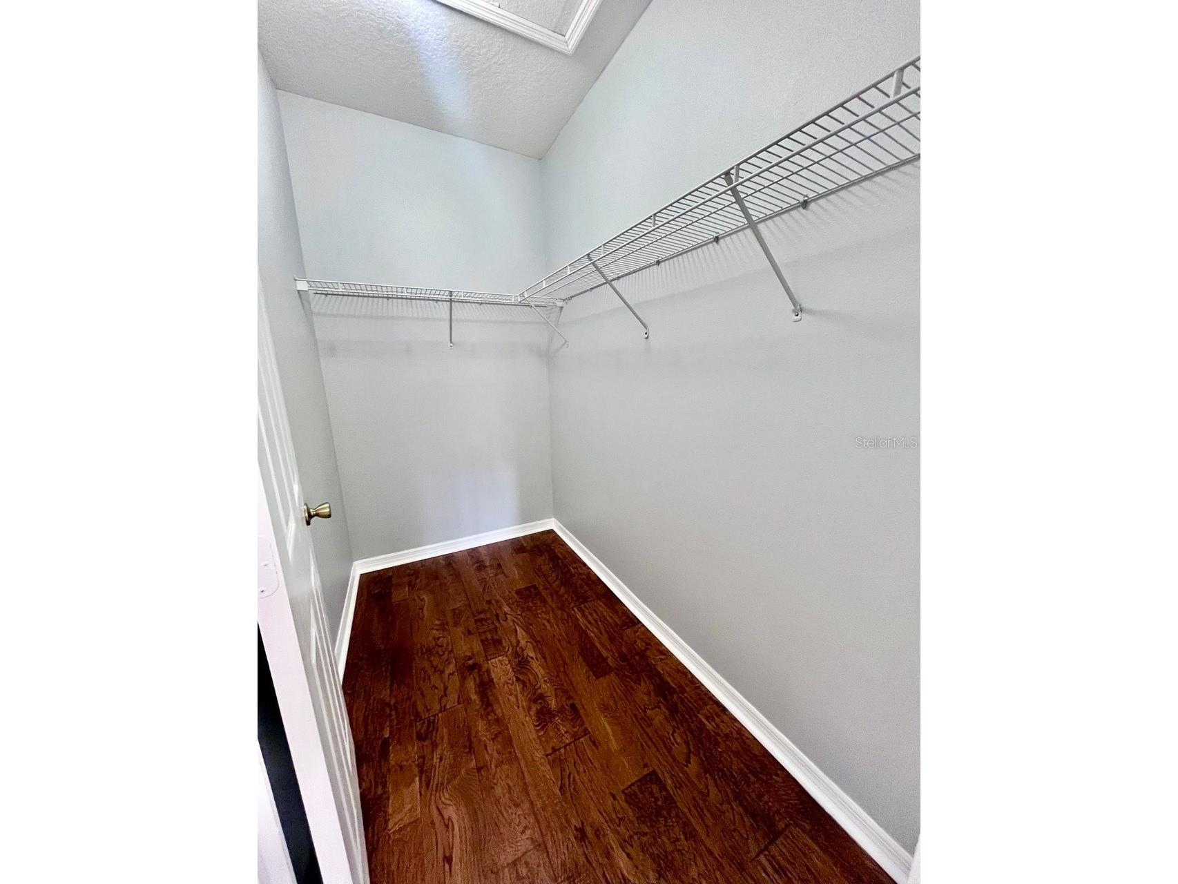 1039 Blackwater Drive #1039 Wesley Chapel FL 33543 TB8504008 image10