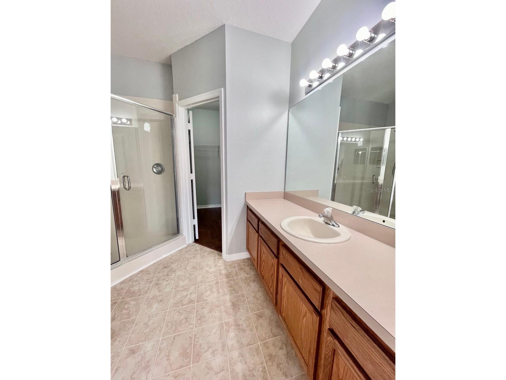 1039 Blackwater Drive #1039 Wesley Chapel FL 33543 TB8504008 image11