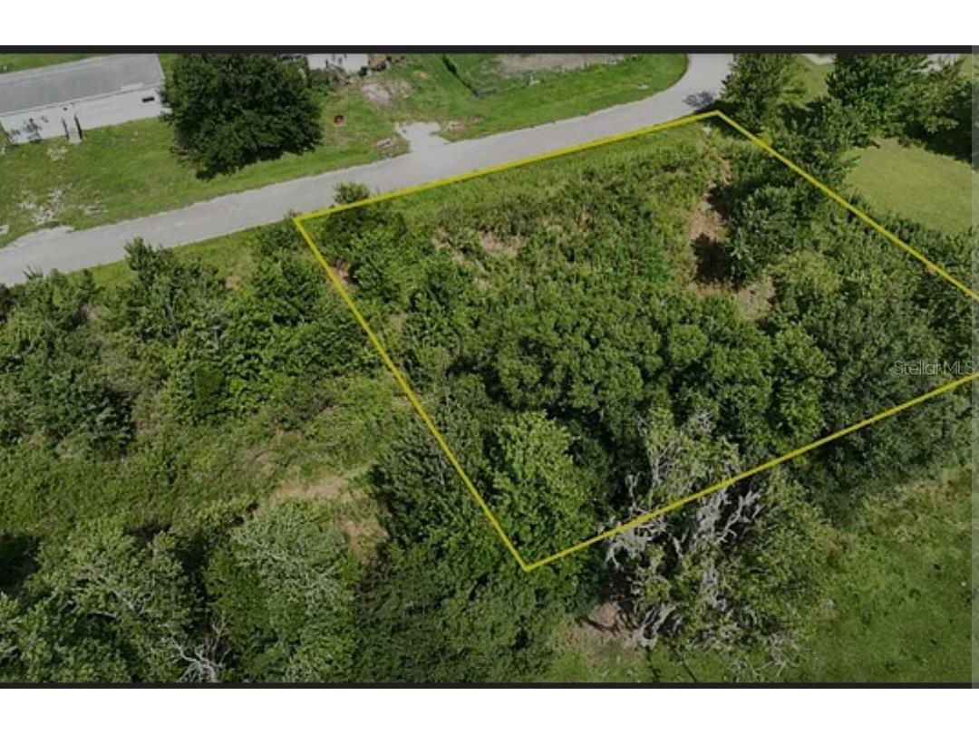 1039 Cardinal Road Wauchula FL 33873 A4561200 image1