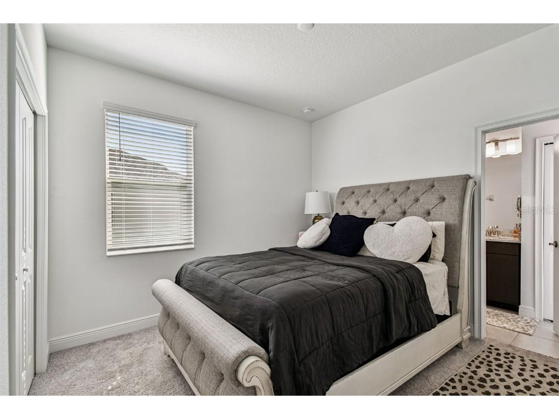 1039 Davis Heather Circle Seffner FL 33584 TB8447096 image12