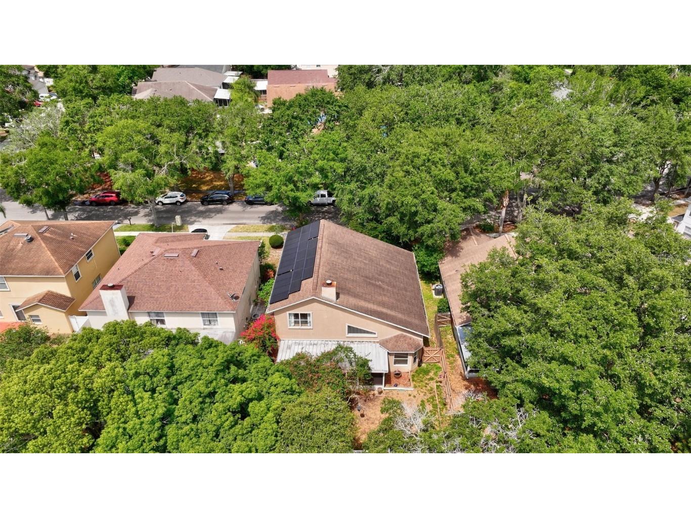 1039 Eagles Forrest Drive Apopka FL 32712 O6321929 image55