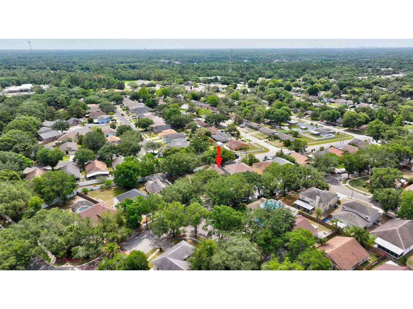 1039 Eagles Forrest Drive Apopka FL 32712 O6321929 image56