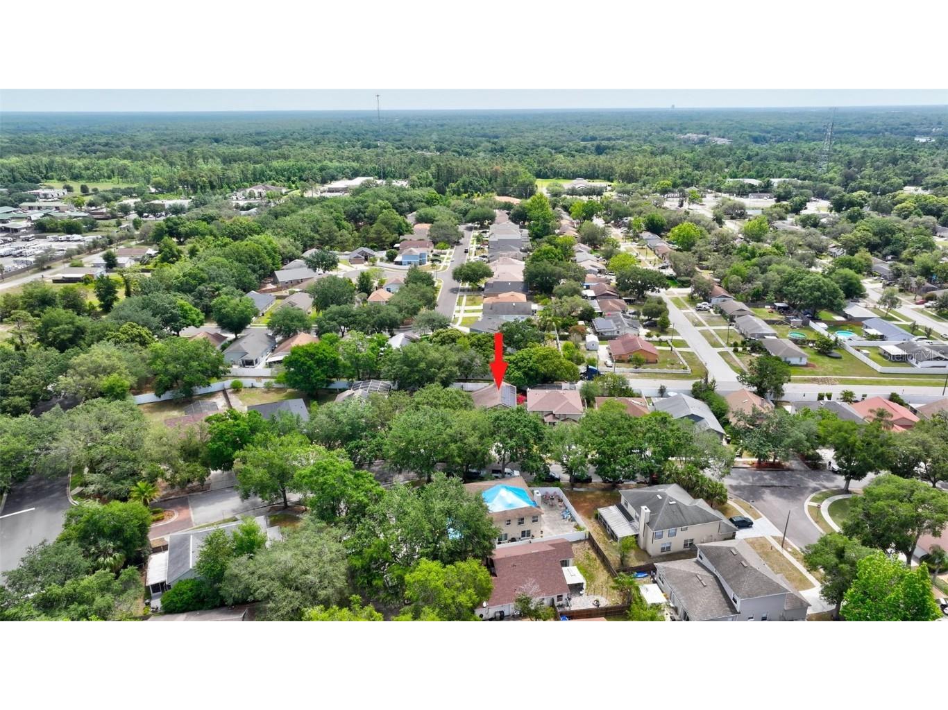 1039 Eagles Forrest Drive Apopka FL 32712 O6321929 image57