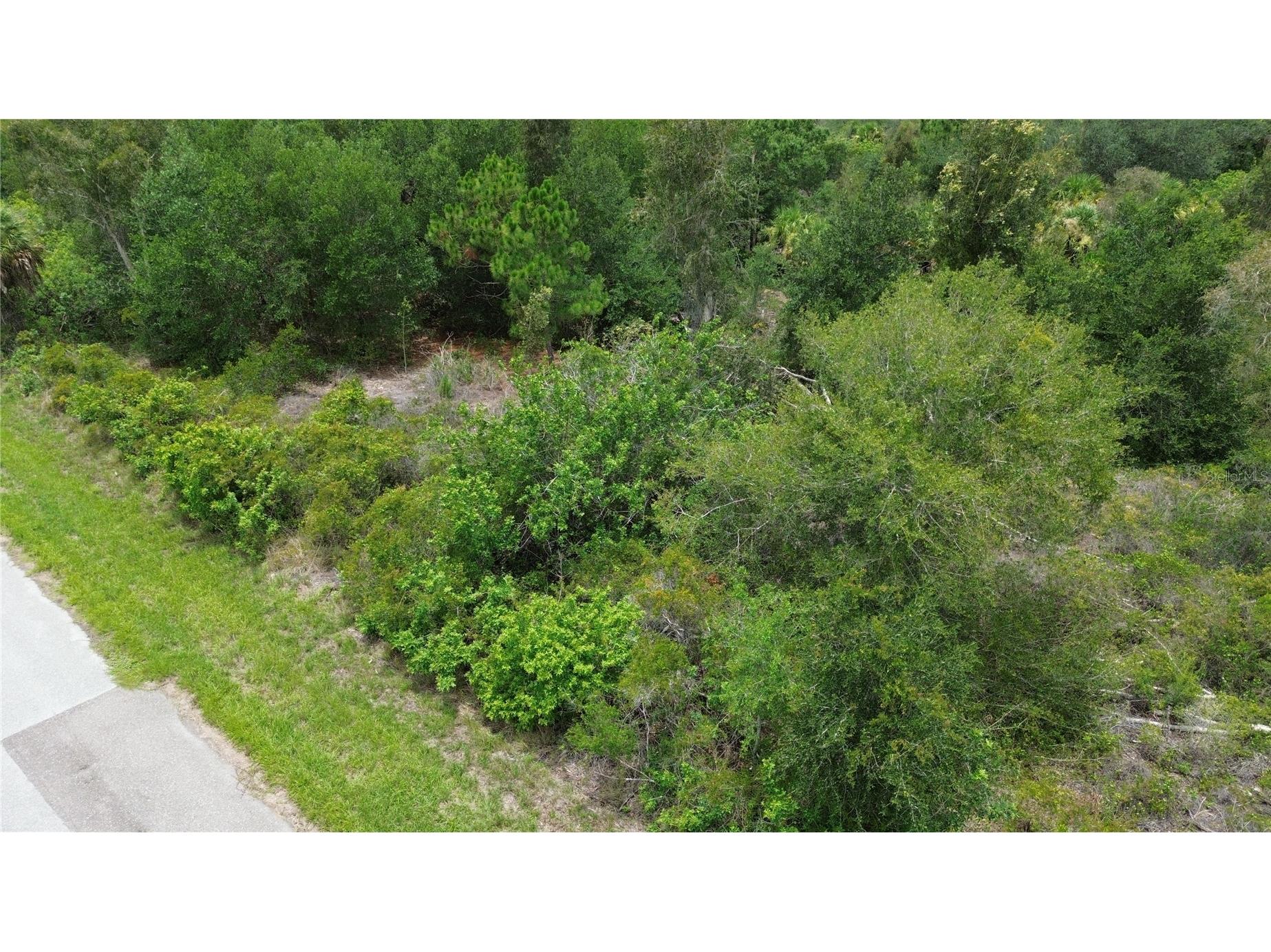 1039 Gibbon Street Port Charlotte FL 33953 N6136689 image3