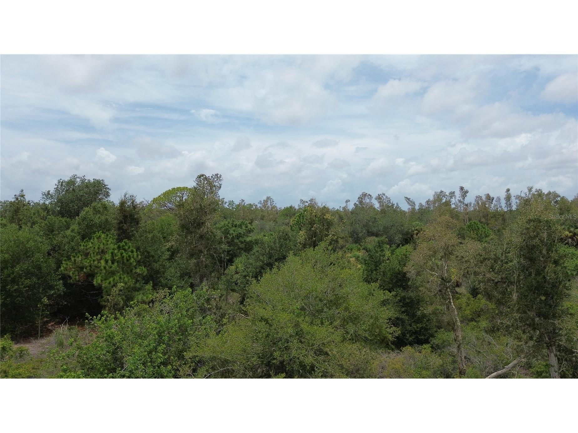 1039 Gibbon Street Port Charlotte FL 33953 N6136689 image5