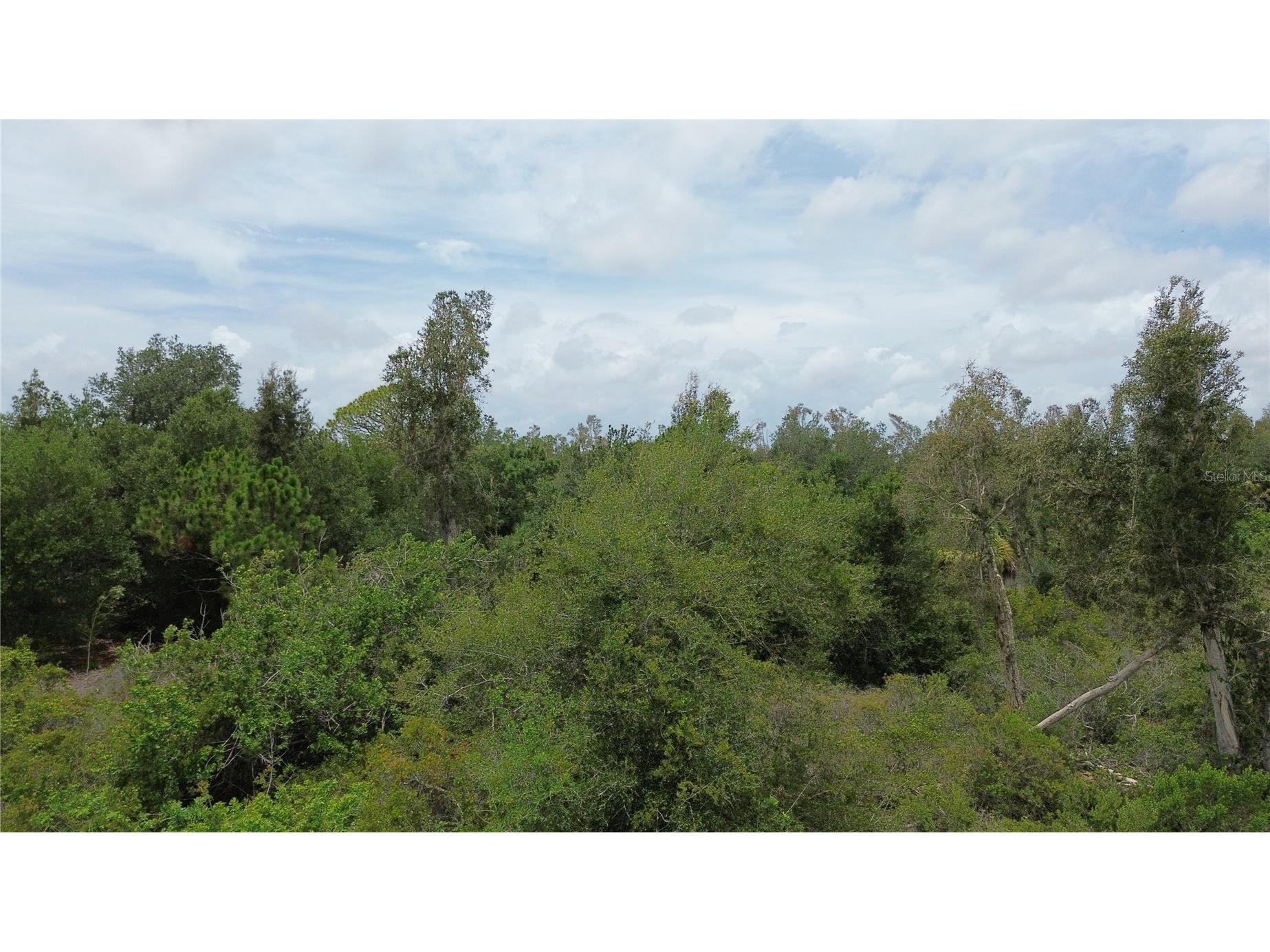 1039 Gibbon Street Port Charlotte FL 33953 N6136689 image6