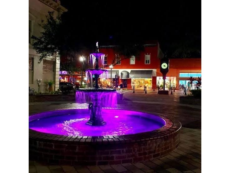 1039 Gloryland Court Sanford FL 32771 O6345622 image46