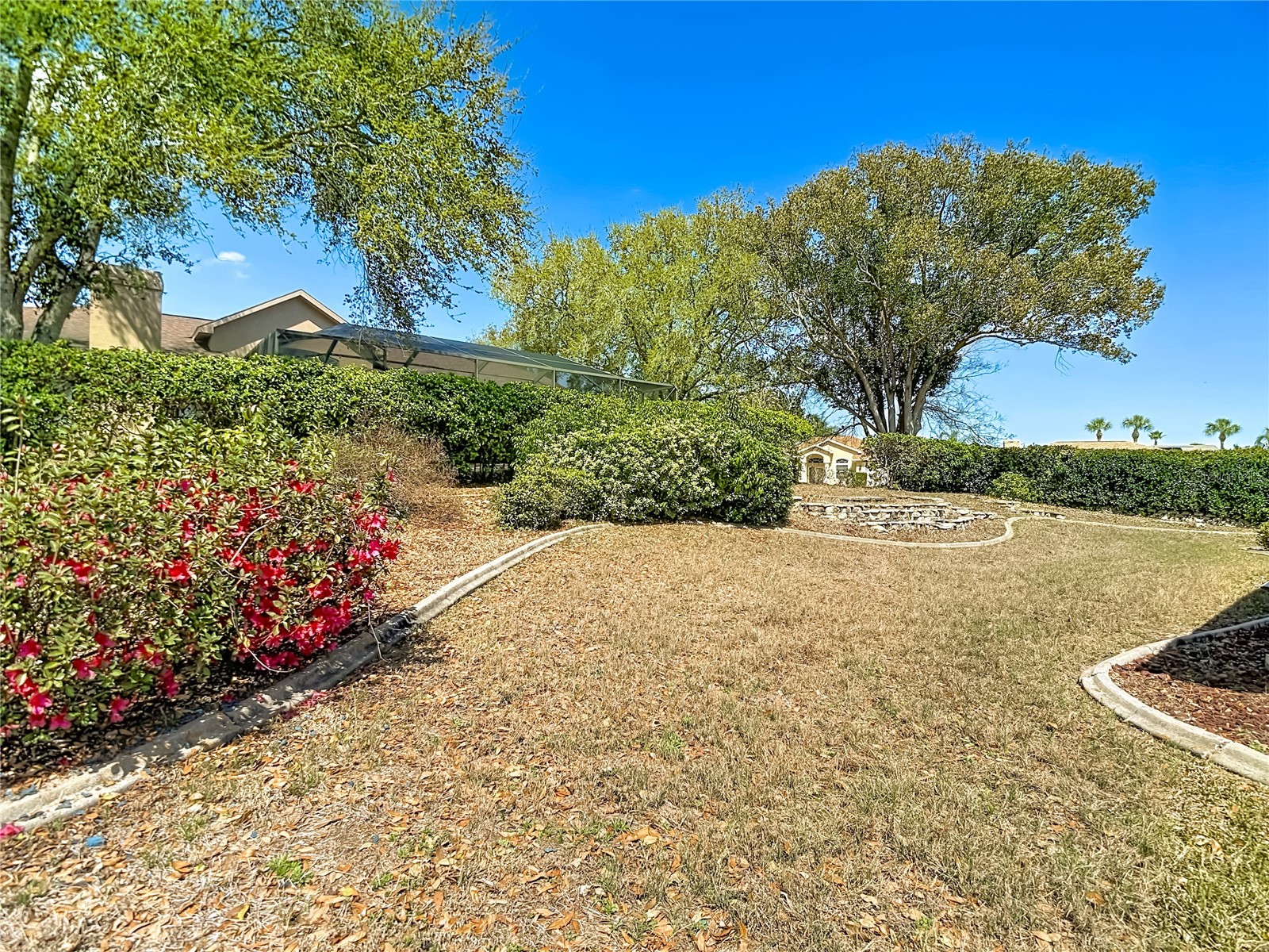 1039 Greenturf Road Spring Hill FL 34608 TB8398090 image58