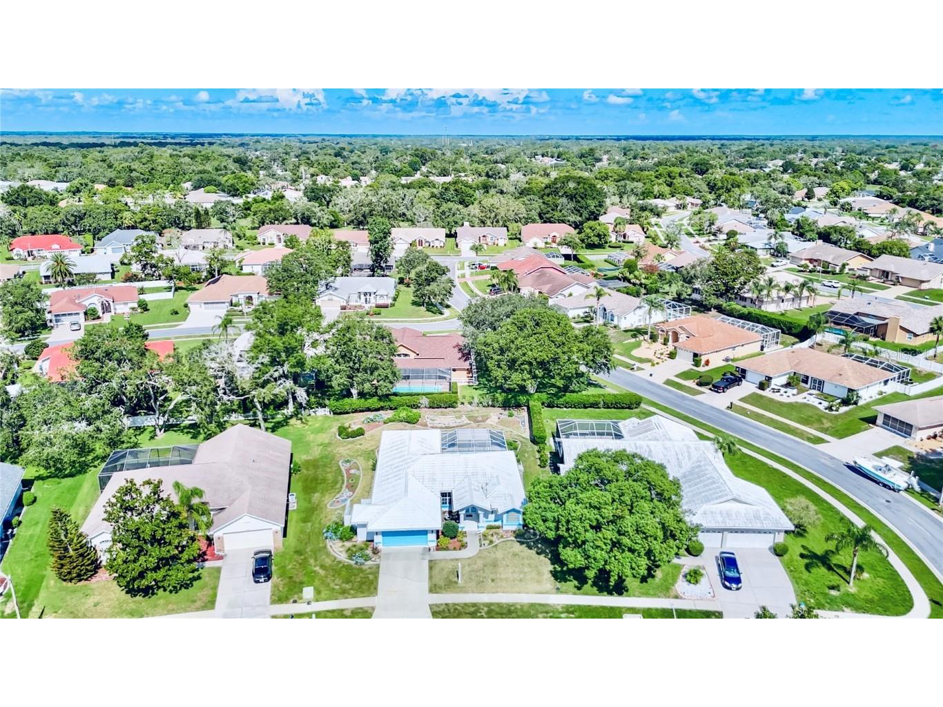 1039 Greenturf Road Spring Hill FL 34608 TB8398090 image7