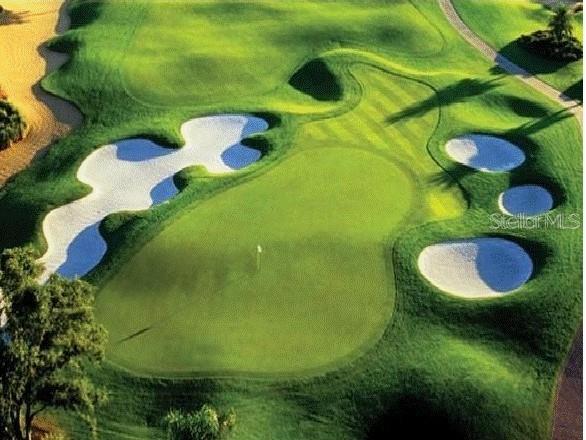 1039 Jack Nicklaus Court Kissimmee FL 34747 O6369865 image67