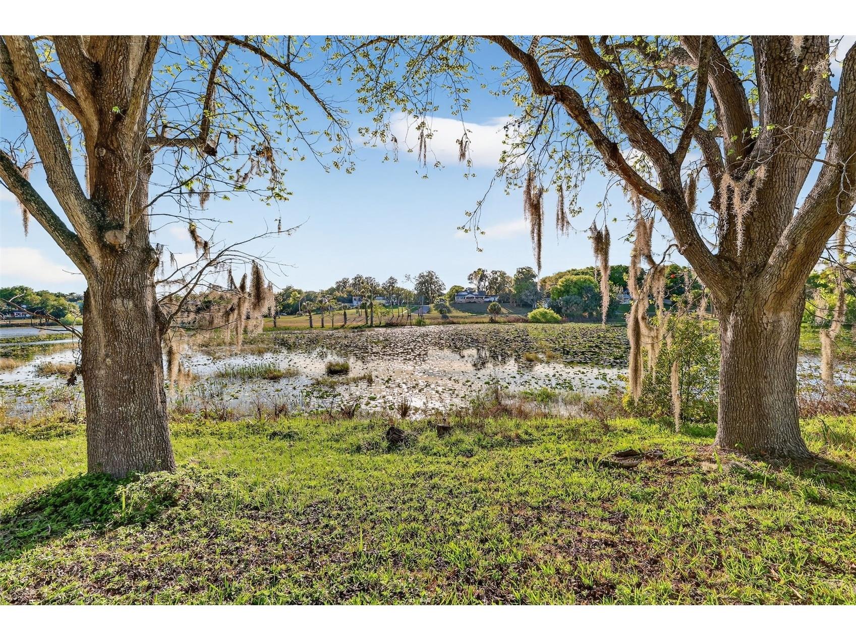 1039 Lake Gracie Drive Eustis FL 32726 G5109854 image6