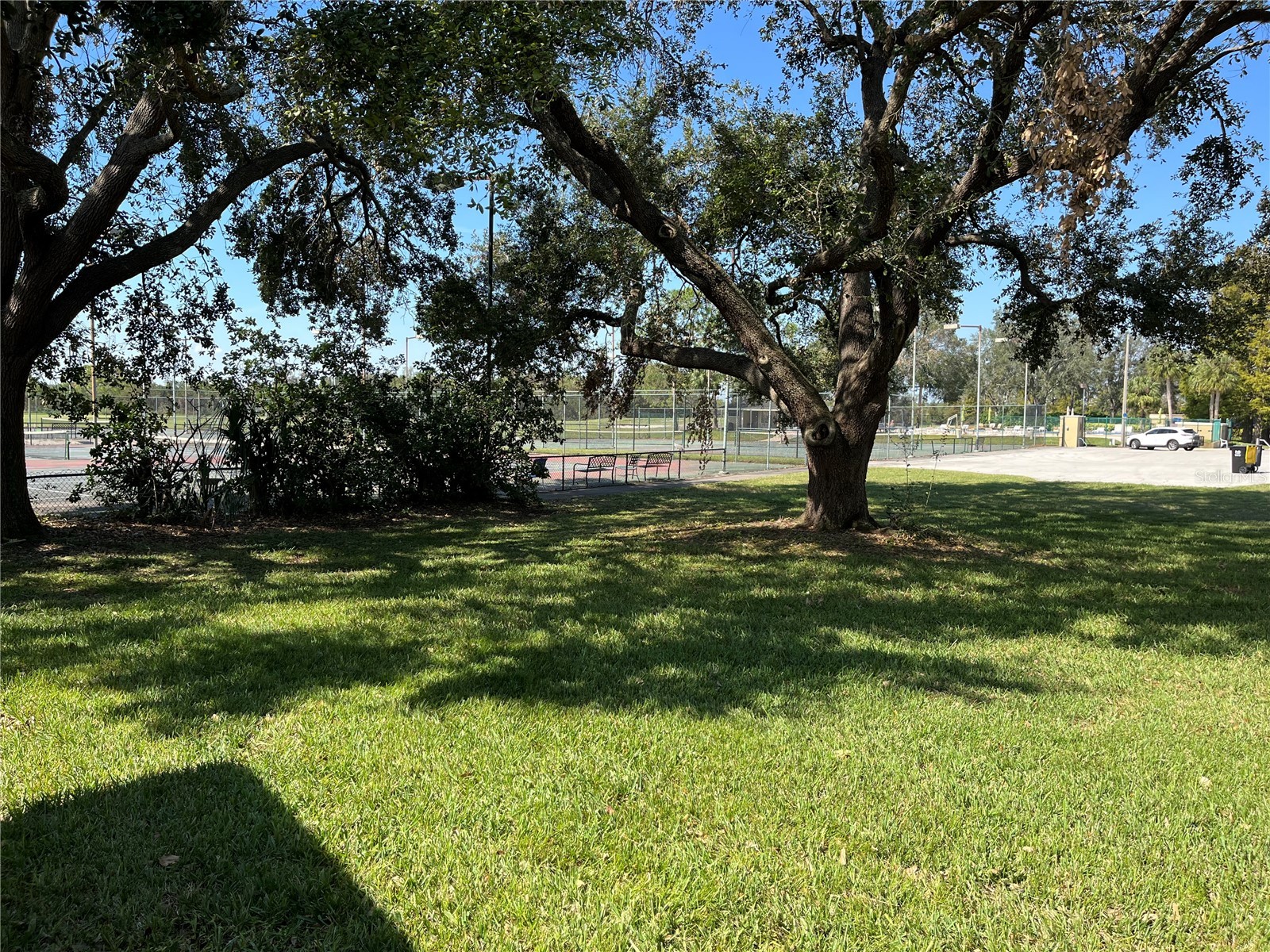 1039 Medinah Drive Winter Haven FL 33884 P4938088 image48