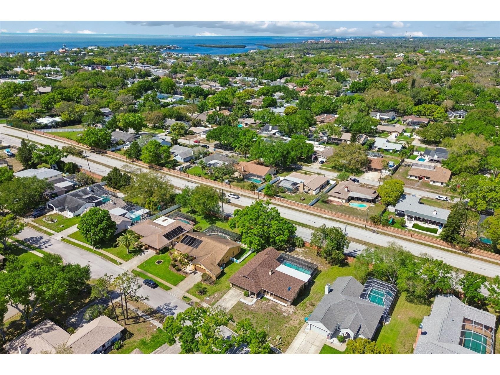 1039 Northridge Drive Palm Harbor FL 34683 TB8488020 image50