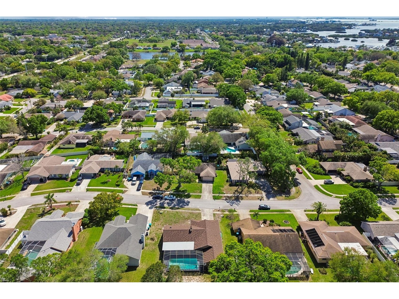1039 Northridge Drive Palm Harbor FL 34683 TB8488020 image52
