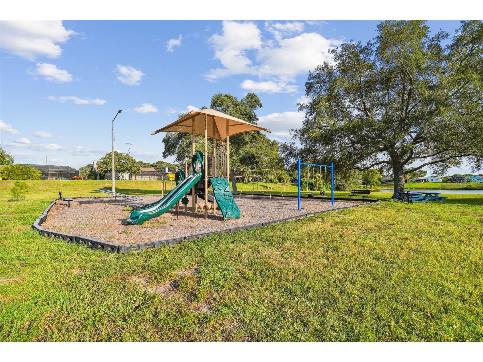1039 Northridge Drive Palm Harbor FL 34683 TB8488020 image58