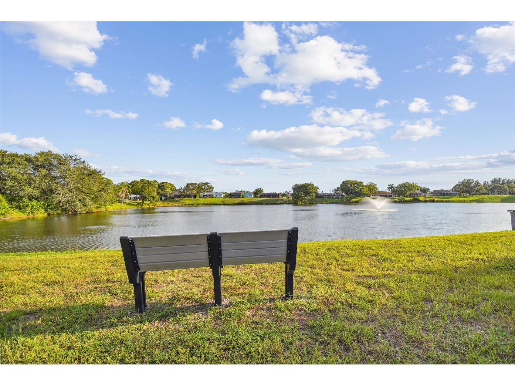 1039 Northridge Drive Palm Harbor FL 34683 TB8488020 image59