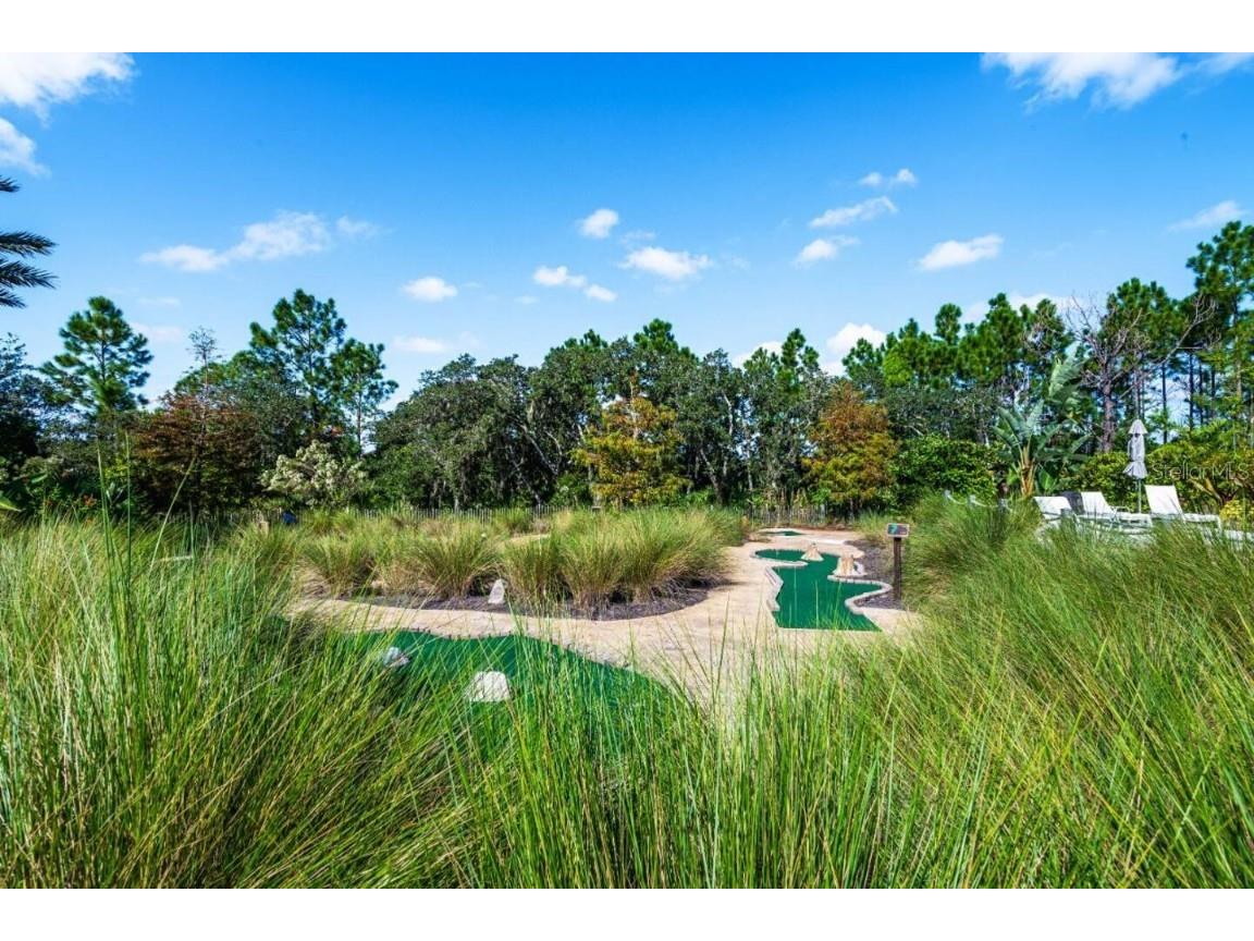 1039 Plantation Lane Davenport FL 33896 O6341335 image40