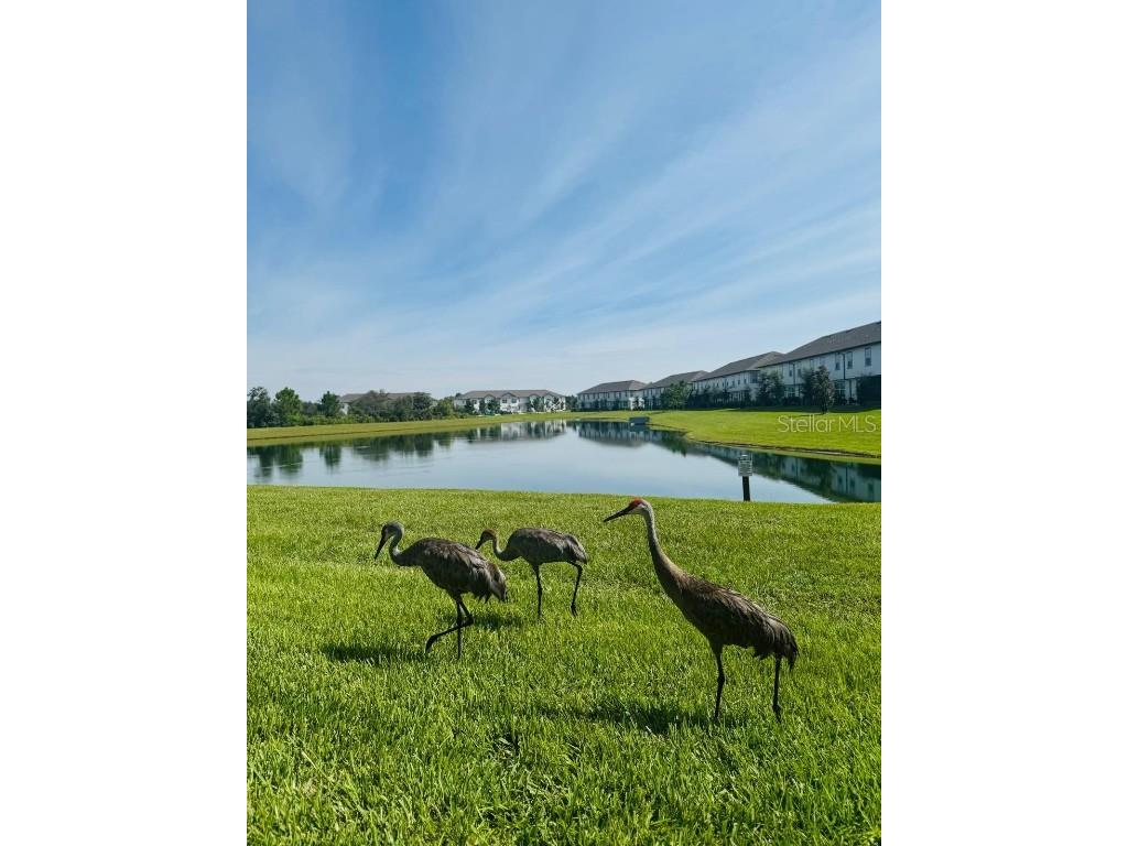 1039 Plantation Lane Davenport FL 33896 O6341335 image43