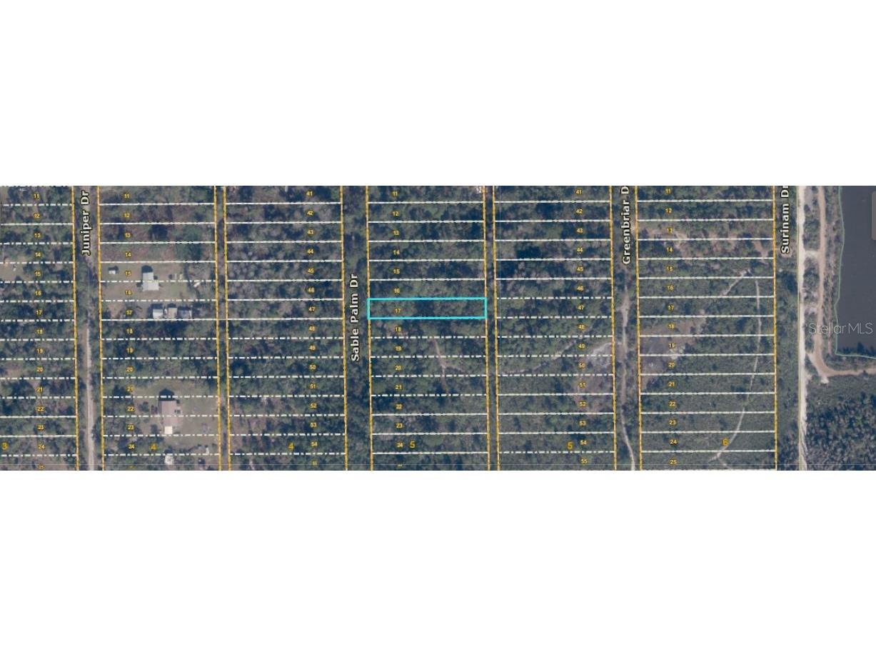 1039 Sable Palm Drive Christmas FL 32709 O6414478 image3