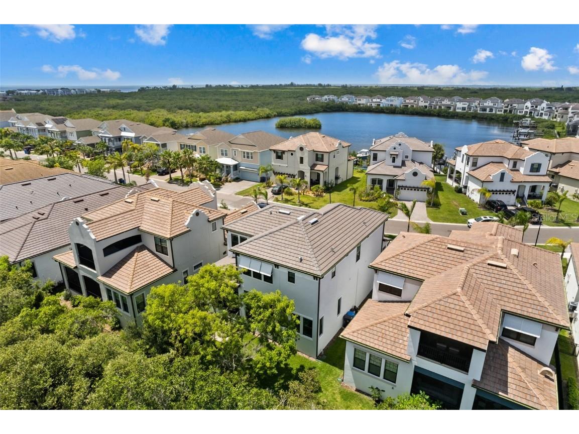 1039 Seagrape Drive Ruskin FL 33570 T3542260 image42