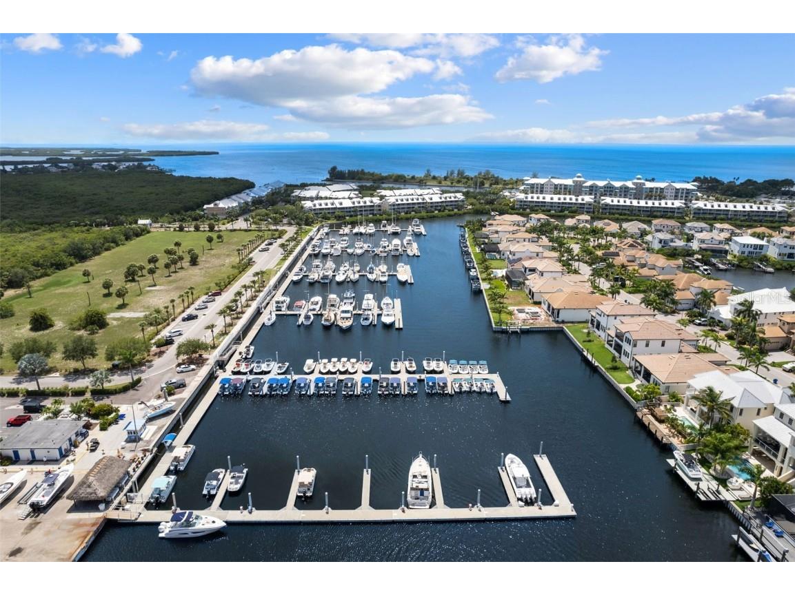 1039 Seagrape Drive Ruskin FL 33570 T3542260 image45