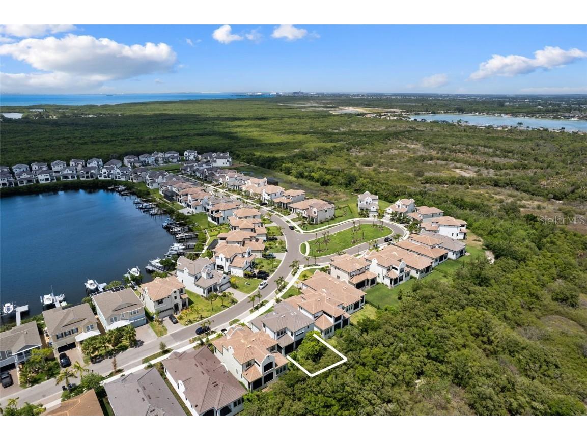 1039 Seagrape Drive Ruskin FL 33570 T3542260 image47