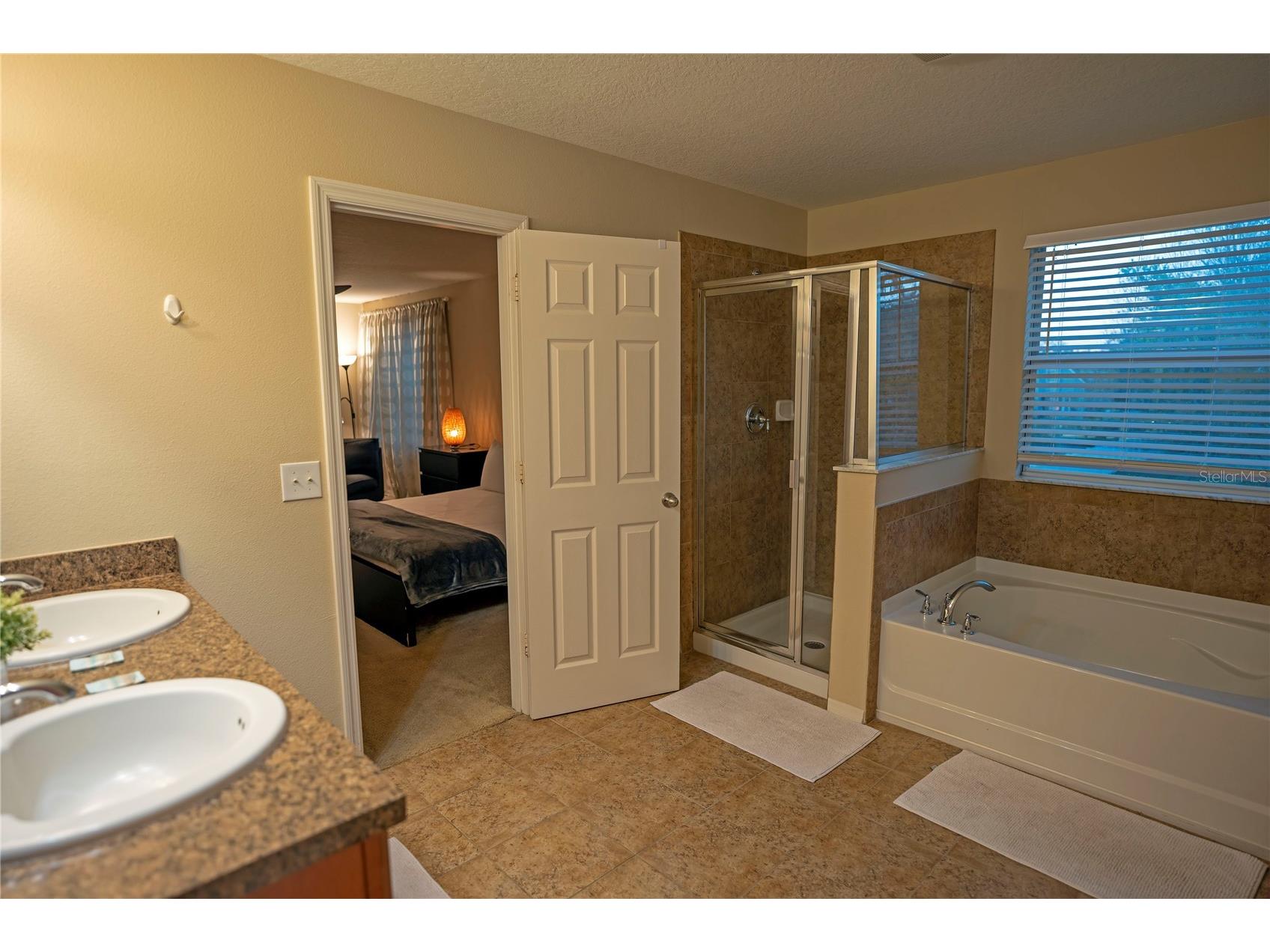 1039 Tourmaline Drive Kissimmee FL 34746 S5142294 image10