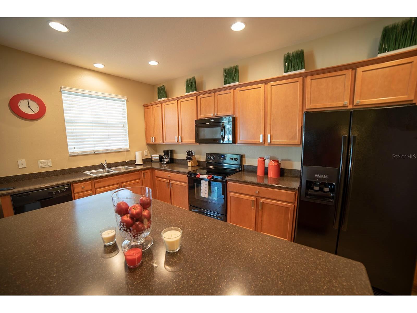 1039 Tourmaline Drive Kissimmee FL 34746 S5142294 image6