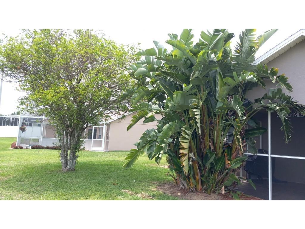 1039 Via Bianca Drive Davenport FL 33896 S5131010 image4