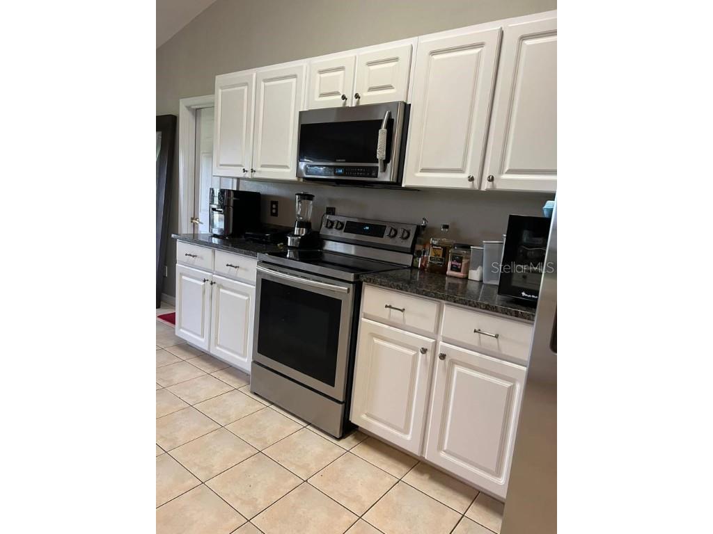 1039 Via Bianca Drive Davenport FL 33896 S5131010 image7