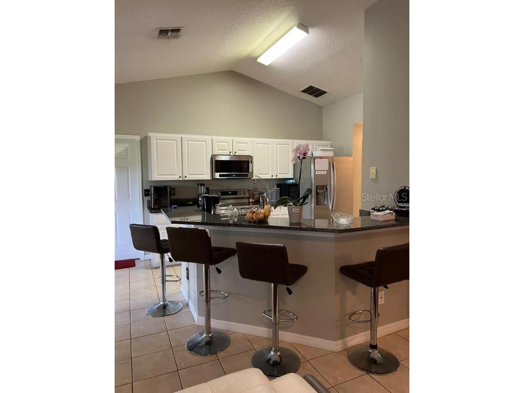 1039 Via Bianca Drive Davenport FL 33896 S5131010 image9