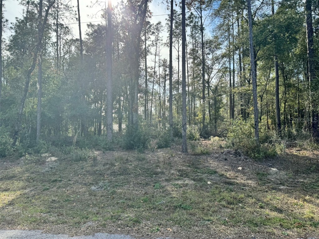 10390 N Holcomb Drive Citrus Springs FL 34434 G5077755 image1