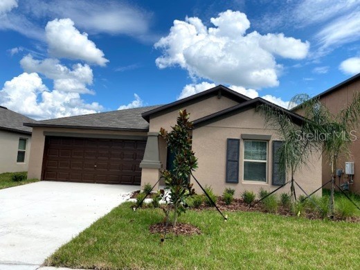10390 Scarlett Skimmer Drive Riverview FL 33578 T3501673 image1