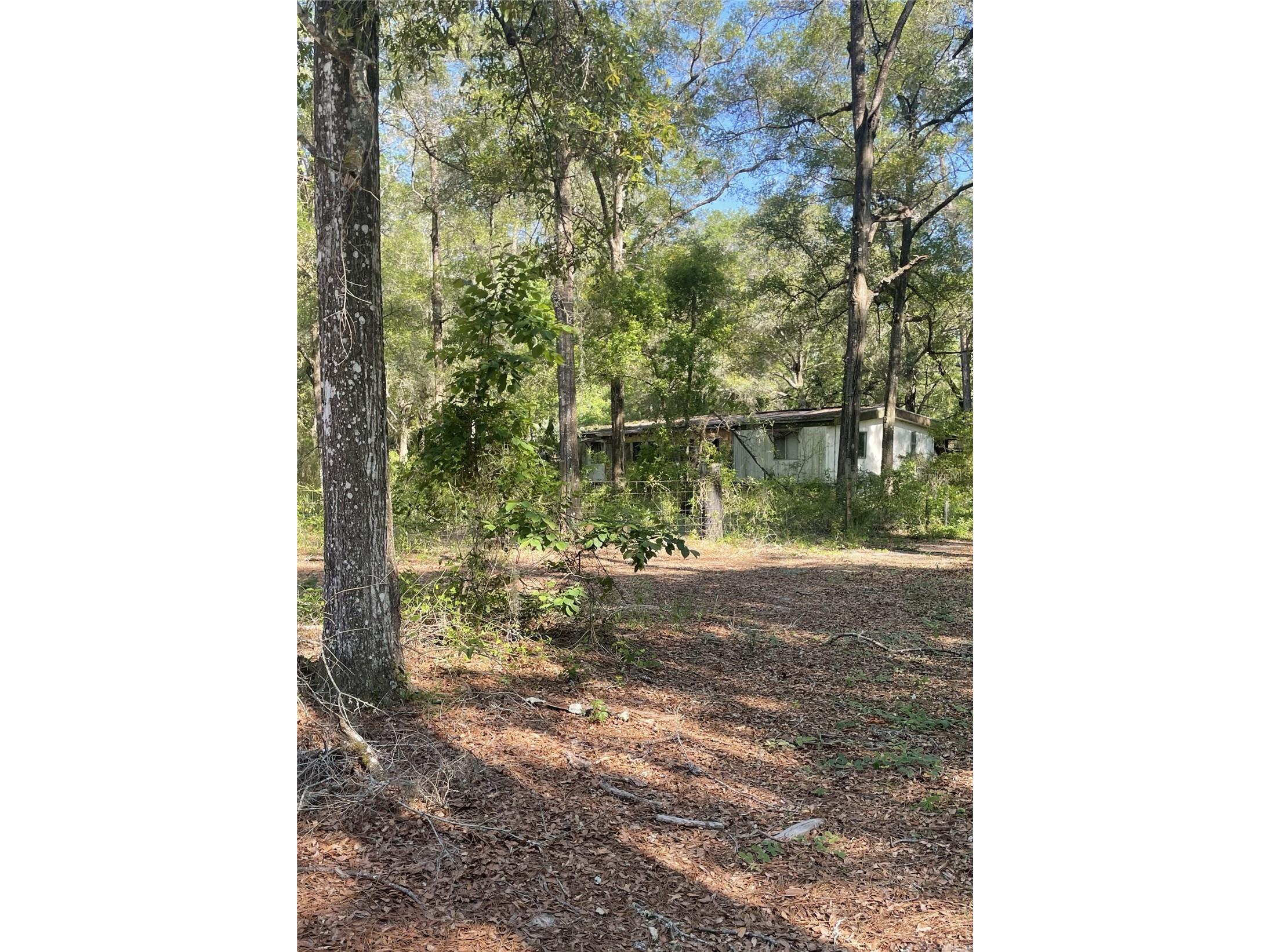 10390 SW 153rd Lane Dunnellon FL 34432 OM724873 image1
