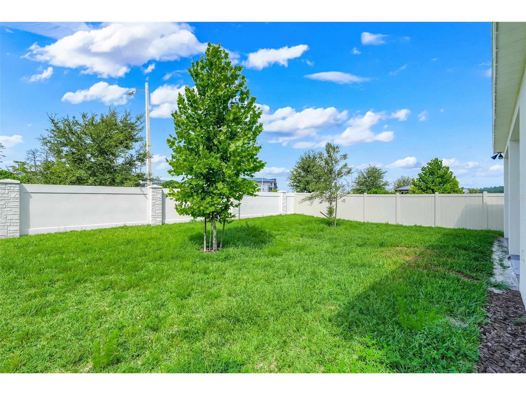 10393 Park Estates Avenue Orlando FL 32836 O6426187 image44