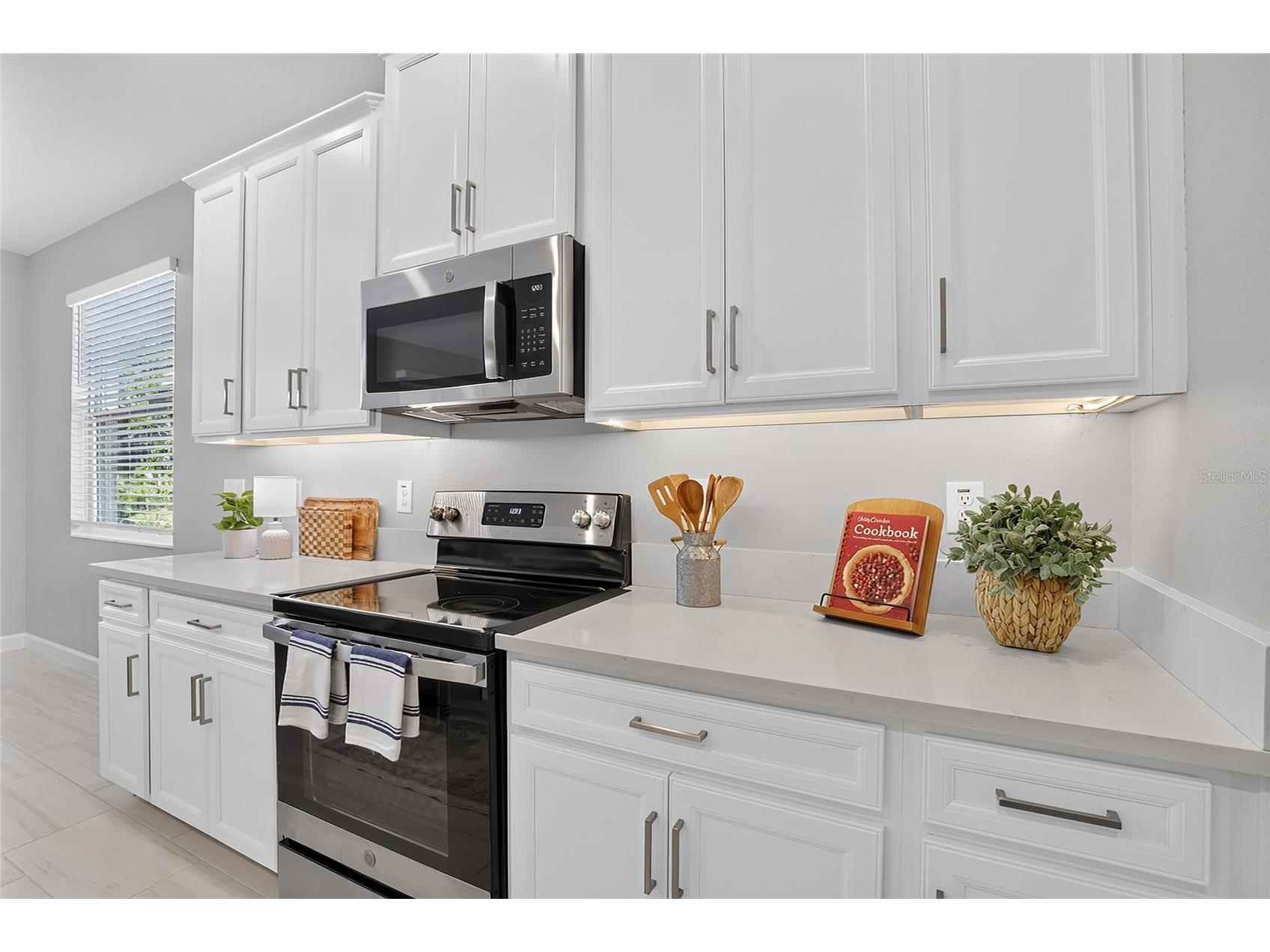 10394 Tupper Cay Drive San Antonio FL 33576 TB8522001 image8