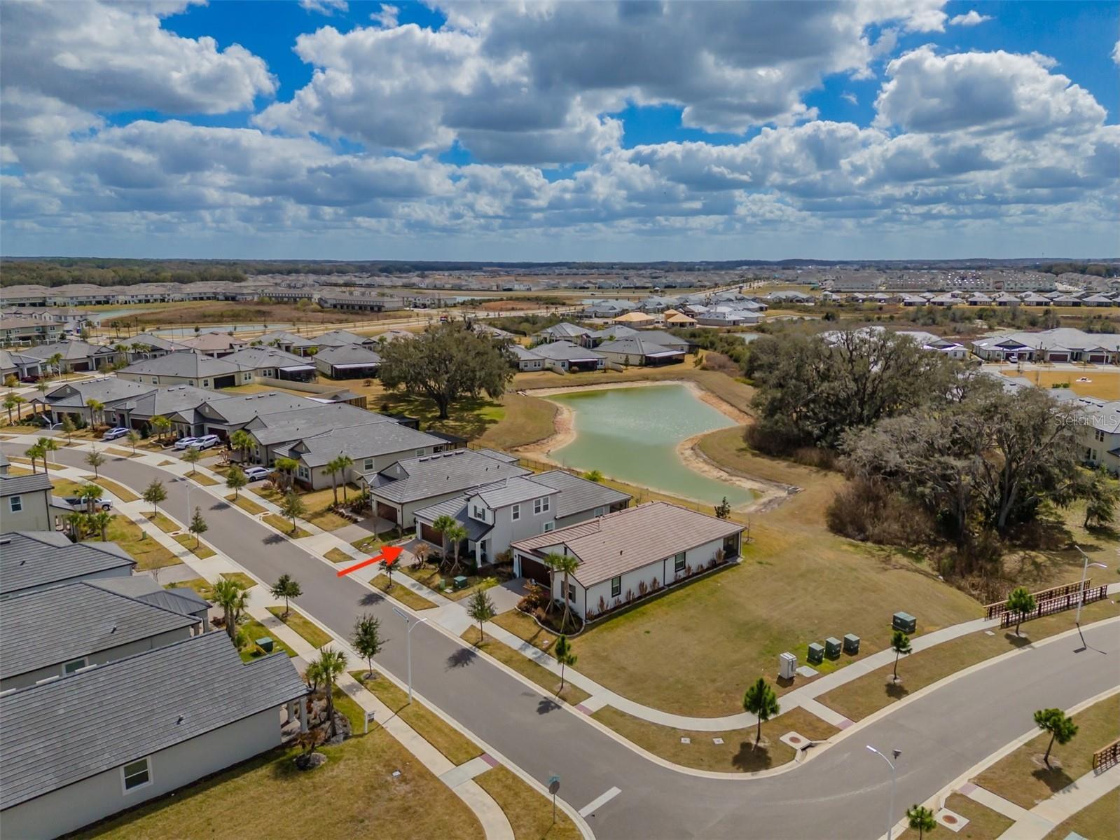 10394 Tupper Cay Drive San Antonio FL 33576 W7883273 image43