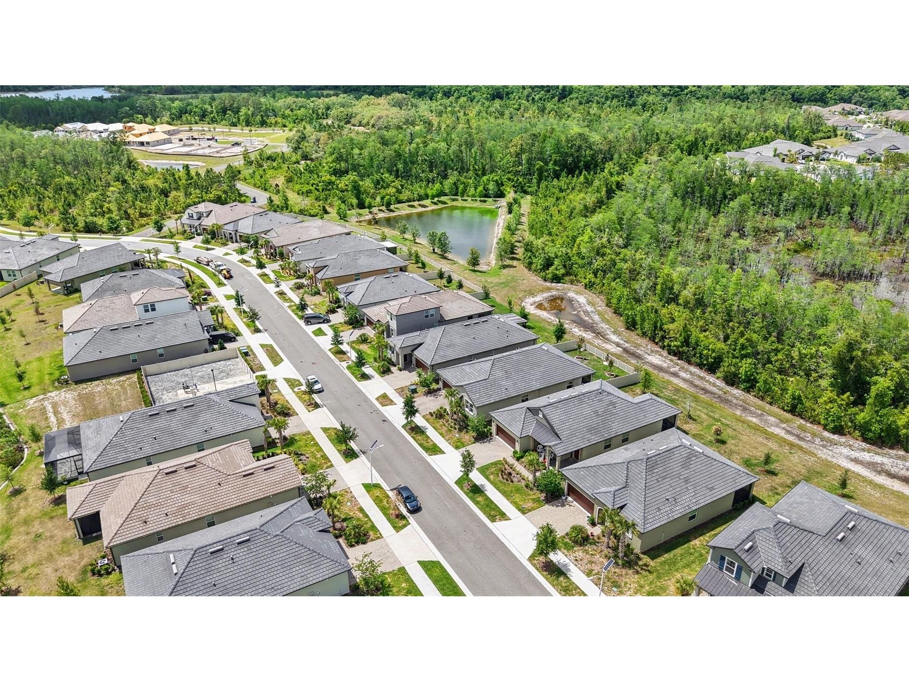 10395 Banyan Breeze Boulevard Land O Lakes FL 34638 TB8504243 image44