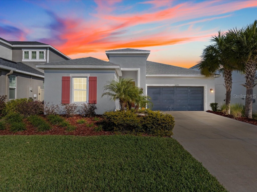 10395 Boyette Brook Street Riverview FL 33569 O6276972 image1